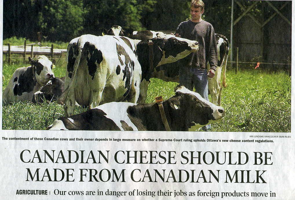 Cow Cheese