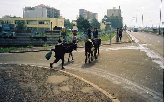 AddisAbabaStreet