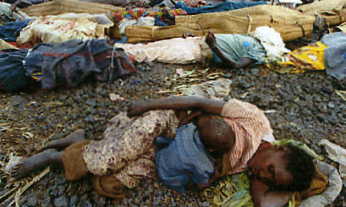 Genocide Dead