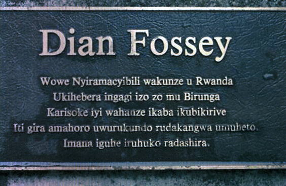 Fossey Grave